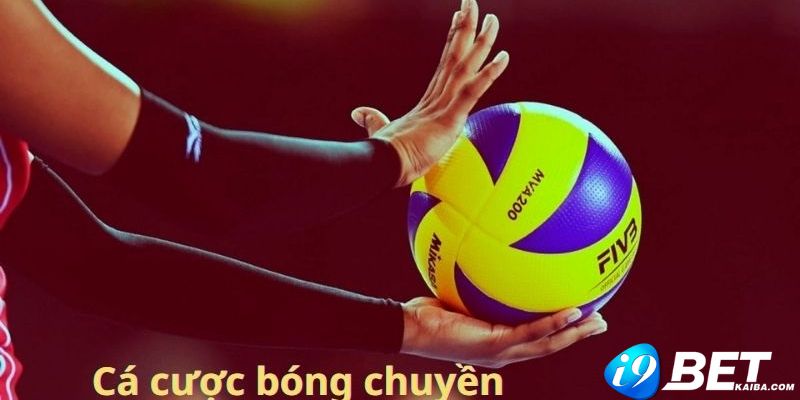 Trò chơi chọi gà cấp độ Sa88 - Sa88